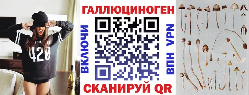 Купить закладки  Калтан  Псилоцибиновые грибы GOLDEN TEACHER 